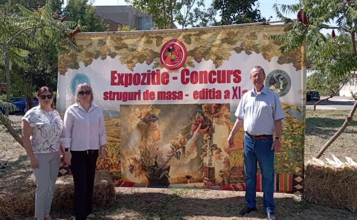 Soiurile de struguri moldovenești au câștigat șase premii în România