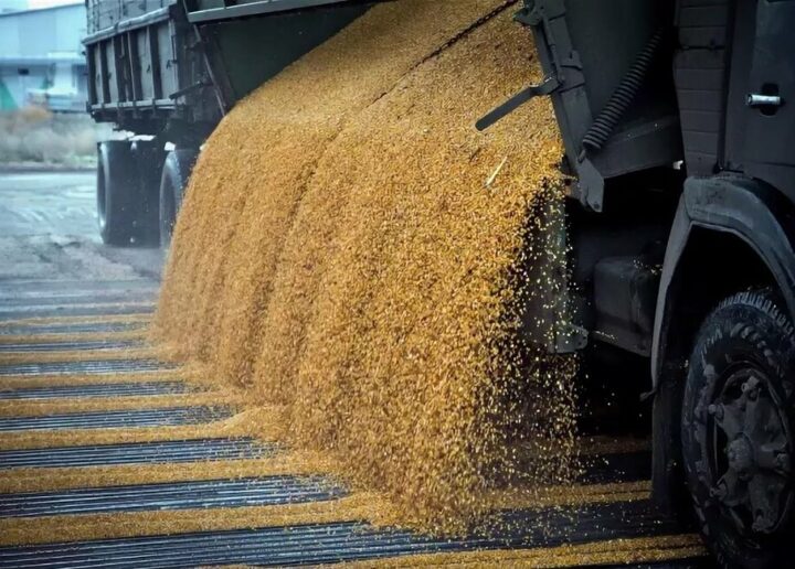Guvernul Rusiei intenționează să achiziționeze 3 milioane de tone de cereale pentru fondul de stat