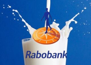 Rabobank: консолидация меняет мировой молочный рынок
