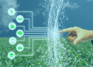 С помощью ИИ Bayer сокращает цикл селекции на два года
