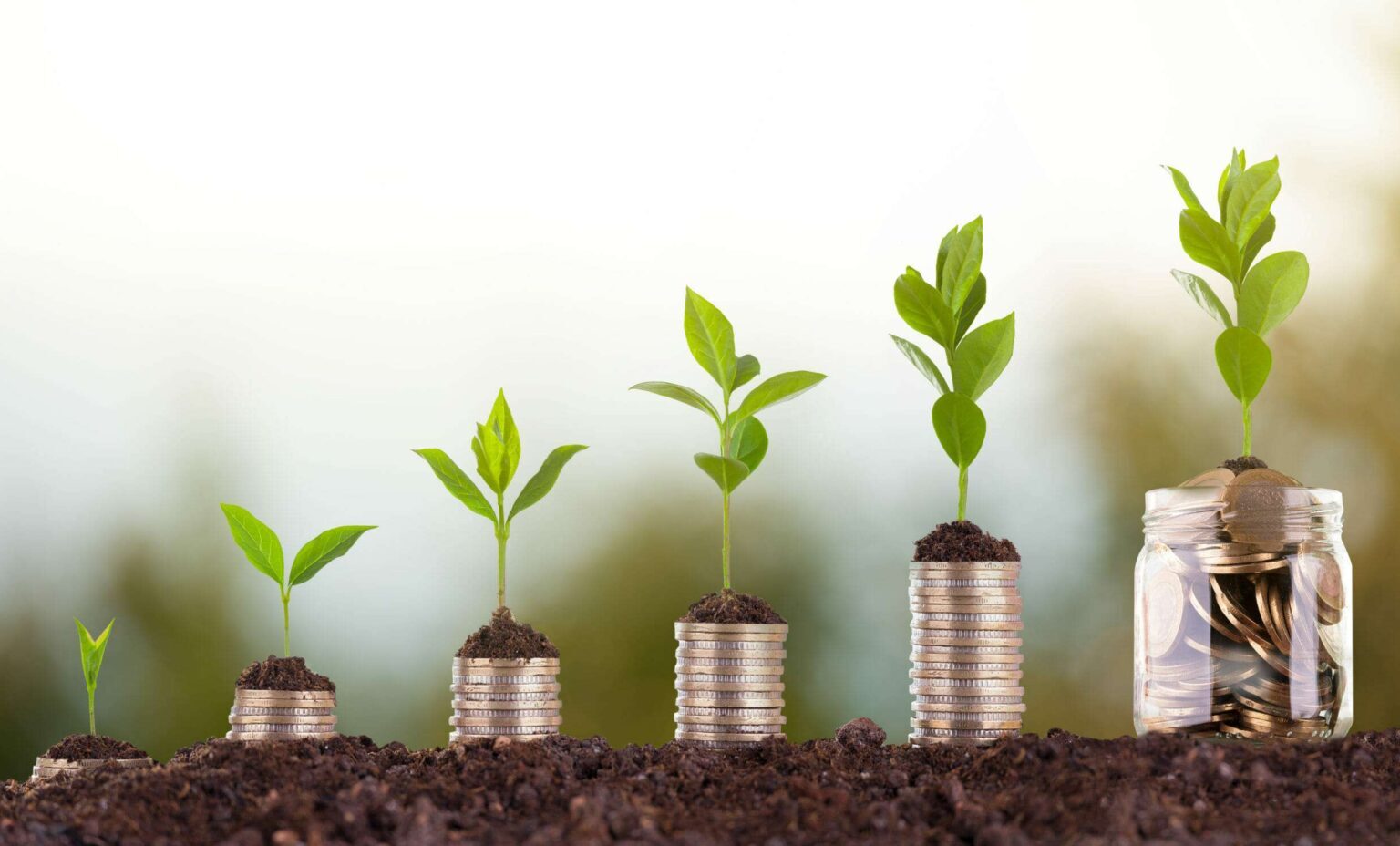субсидии