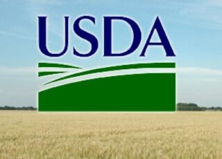 USDA использует ИИ для прогнозирования урожая из-за критики фермеров