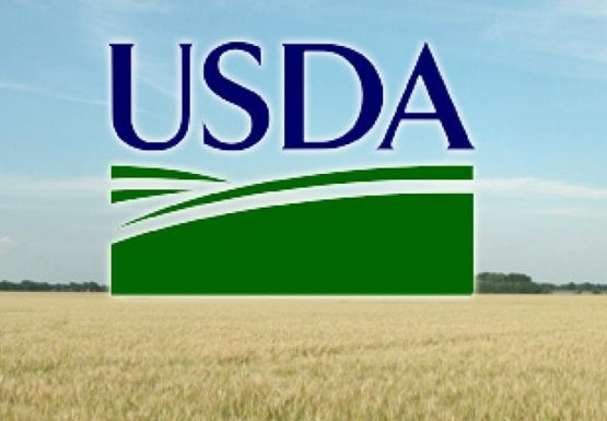 USDA использует ИИ для прогнозирования урожая из-за критики фермеров