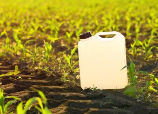 În SUA se lucrează la dezvoltarea unei noi generații de biopesticide