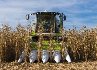 Costurile de producție ale porumbului în Ucraina sunt de două ori mai mici decât în UE