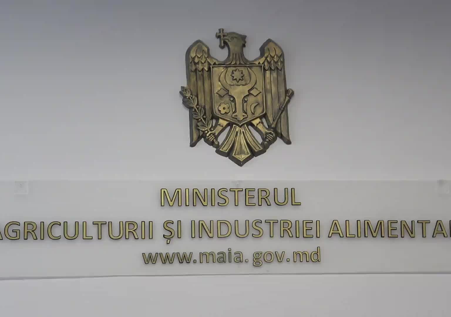 МАИА не дала конкретного ответа на требования фермеров: они будут рассмотрены