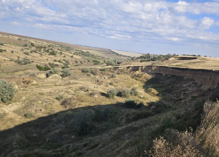 Excavații ilegale pe un teren agricol din Vulcănești. Prejudiciul depășește 19 milioane de lei