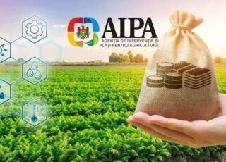 AIPA начала прием заявок на новые программы поддержки фермеров