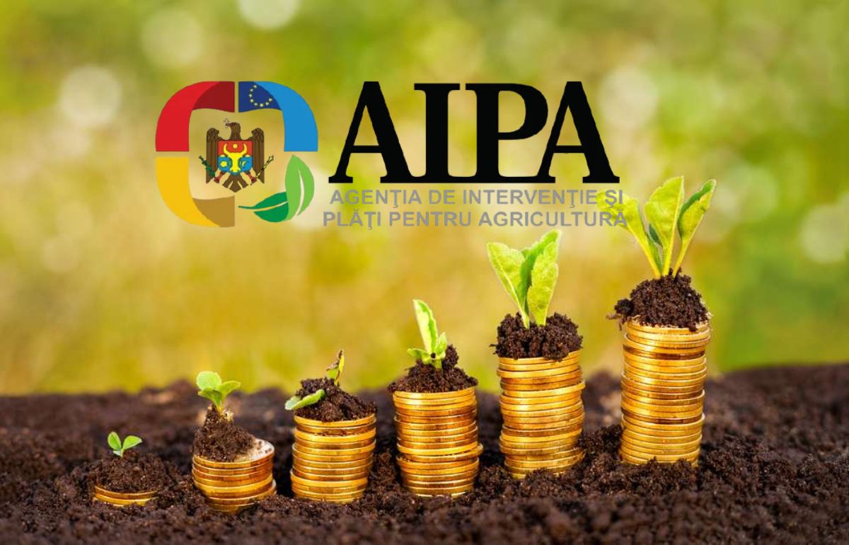 AIPA направила на поддержку аграриев свыше 220 млн леев за неделю