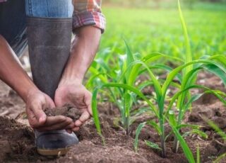 AIPA lansează un concurs pentru finanțarea proiectelor care sporesc reziliența agriculturii la schimbările climatice