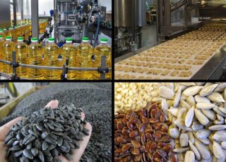 Procesarea globală a semințelor de floarea-soarelui este în scădere, deși producția a atins un nivel record