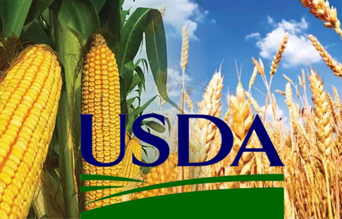 Отчет USDA: мировые прогнозы по пшенице и кукурузе на 2026/27 МГ