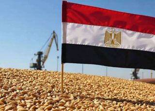 Планируемый рекордный урожай пшеницы сократит импорт Египта на 23%