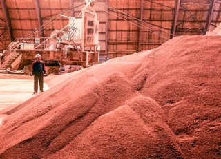 SUA alocă 1,3 miliarde de dolari pentru dezvoltarea producției de îngrășăminte