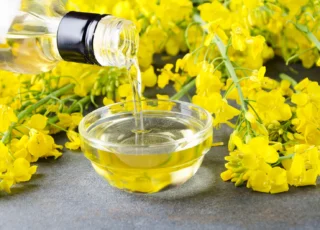 În Germania s-a inaugurat o fabrică de prelucrare a uleiului de rapiță în produse biochimice
