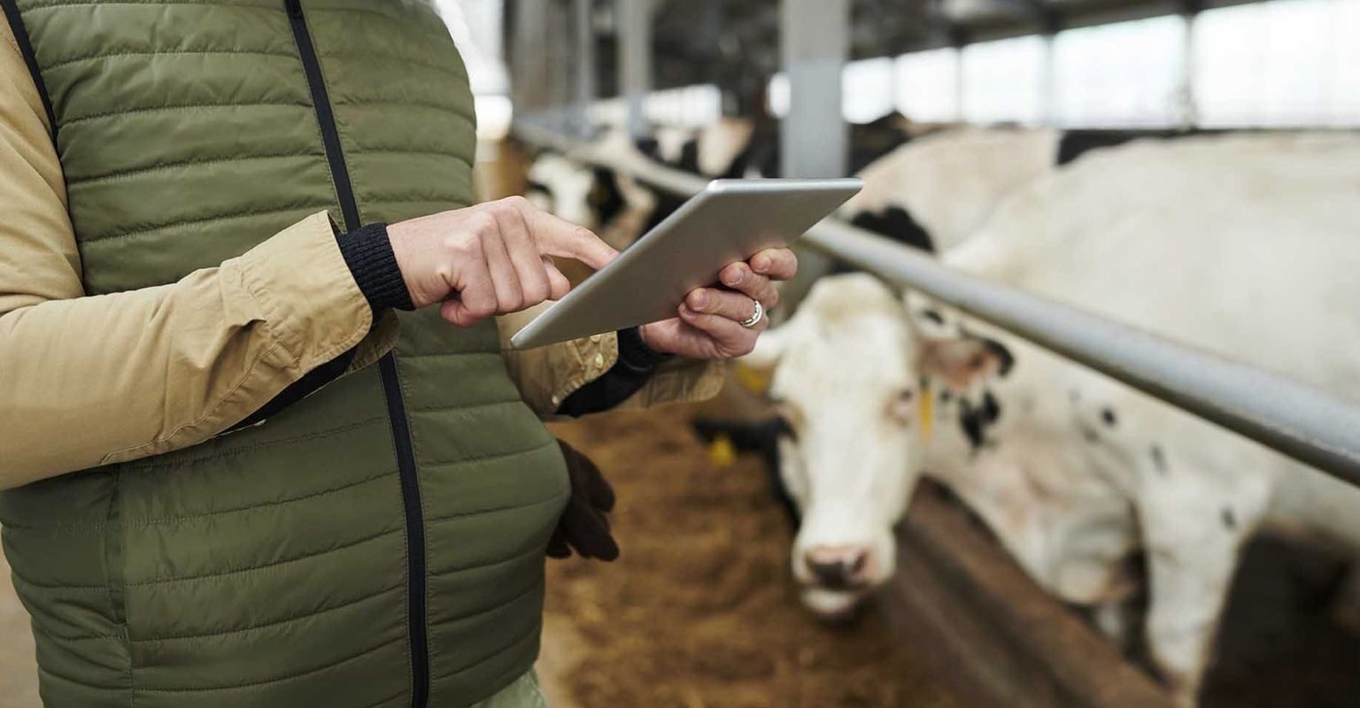 În Moldova se testează un nou sistem de colectare a datelor din domeniul agriculturii
