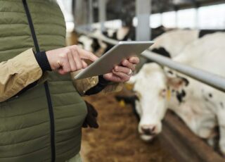 În Moldova se testează un nou sistem de colectare a datelor din domeniul agriculturii