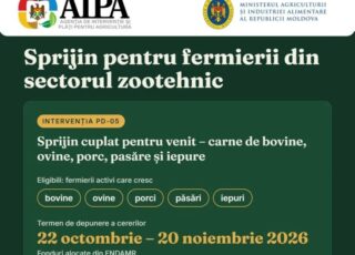 În Moldova începe perioada de depunere a cererilor de sprijin pentru producătorii de carne: pentru acest program au fost alocați 28,8 milioane de lei