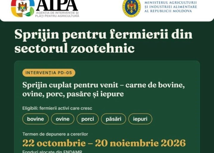 În Moldova începe perioada de depunere a cererilor de sprijin pentru producătorii de carne: pentru acest program au fost alocați 28,8 milioane de lei