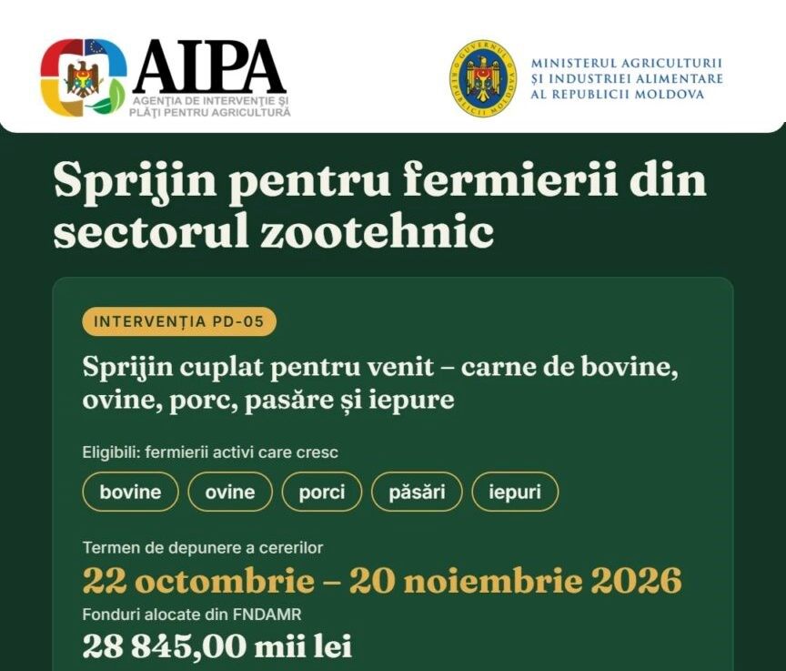 În Moldova începe perioada de depunere a cererilor de sprijin pentru producătorii de carne: pentru acest program au fost alocați 28,8 milioane de lei